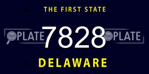 7828 Delaware License Plate