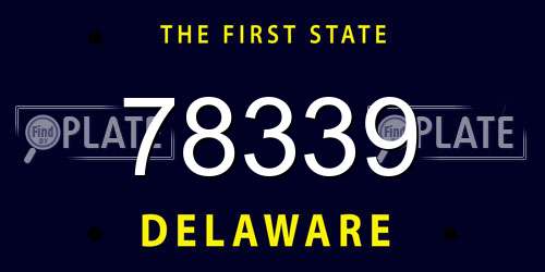 78339 Delaware License Plate