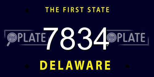 7834 Delaware License Plate