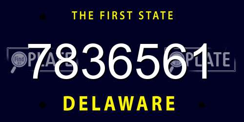 7836561 Delaware License Plate
