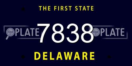 7838 Delaware License Plate