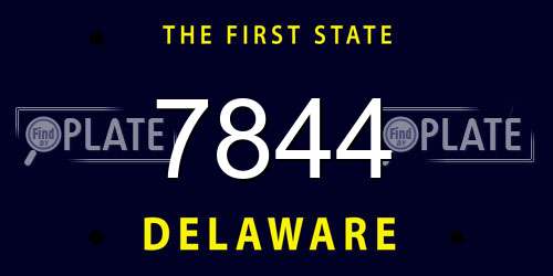 7844 Delaware License Plate