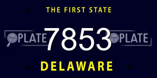 7853 Delaware License Plate