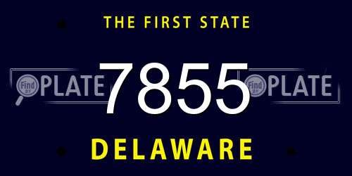 7855 Delaware License Plate