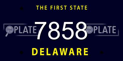 7858 Delaware License Plate