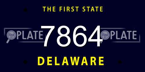 7864 Delaware License Plate