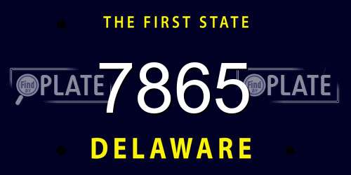 7865 Delaware License Plate