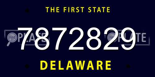 7872829 Delaware License Plate