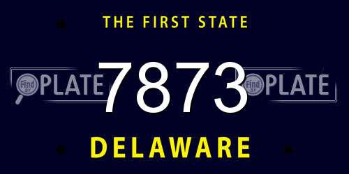7873 Delaware License Plate