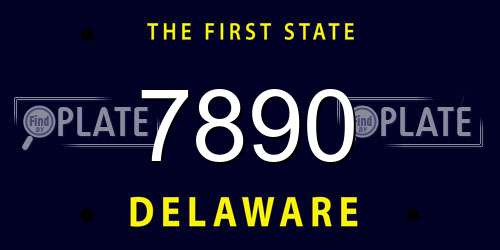 7890 Delaware License Plate