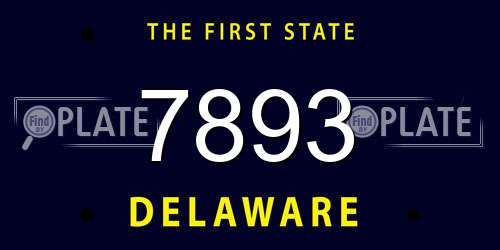 7893 Delaware License Plate
