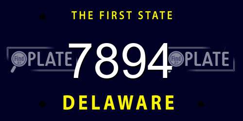 7894 Delaware License Plate