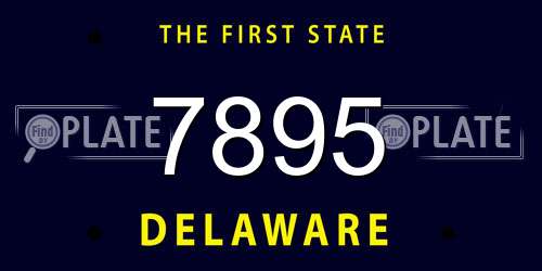 7895 Delaware License Plate
