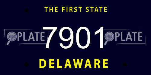7901 Delaware License Plate