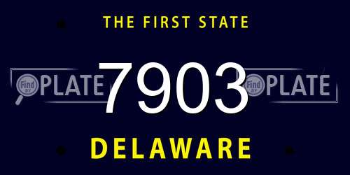 7903 Delaware License Plate