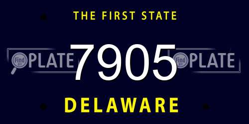 7905 Delaware License Plate