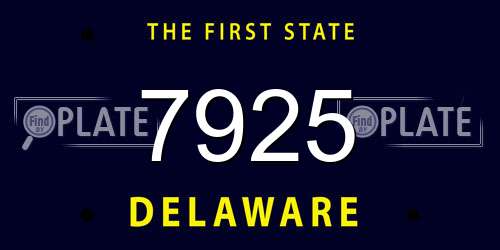 7925 Delaware License Plate