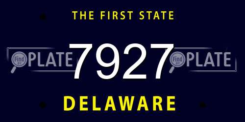 7927 Delaware License Plate