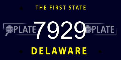 7929 Delaware License Plate