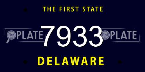 7933 Delaware License Plate