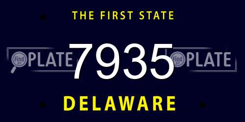7935 Delaware License Plate
