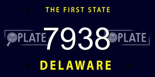 7938 Delaware License Plate