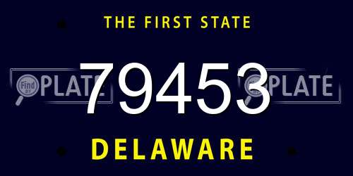 79453 Delaware License Plate