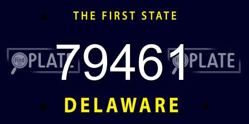 79461 Delaware License Plate