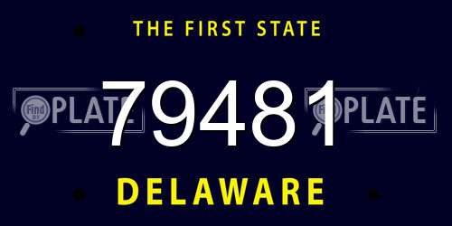 79481 Delaware License Plate