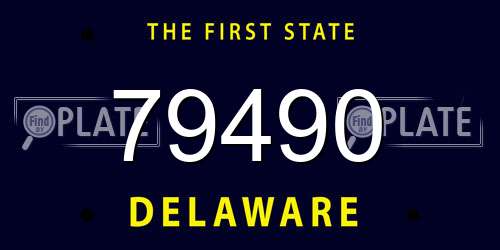 79490 Delaware License Plate