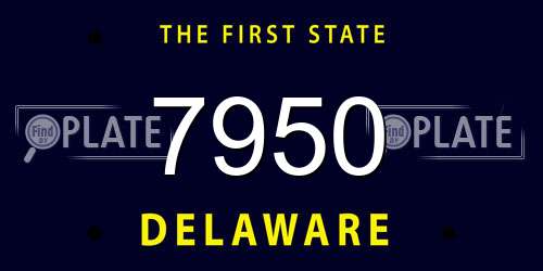 7950 Delaware License Plate