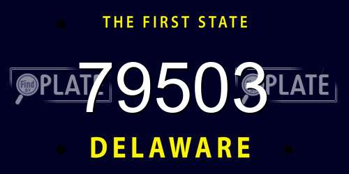 79503 Delaware License Plate