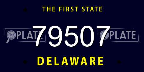 79507 Delaware License Plate