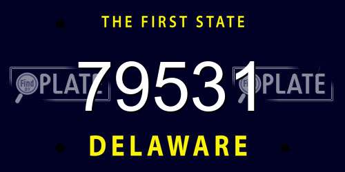 79531 Delaware License Plate