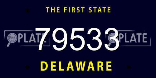 79533 Delaware License Plate
