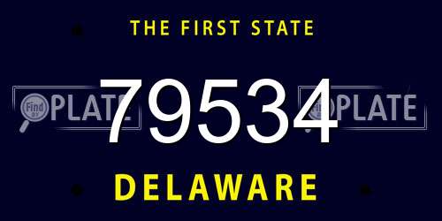 79534 Delaware License Plate