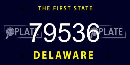 79536 Delaware License Plate