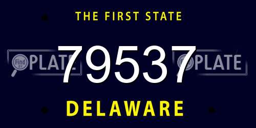79537 Delaware License Plate