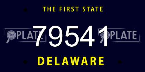 79541 Delaware License Plate