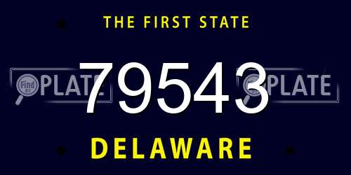 79543 Delaware License Plate