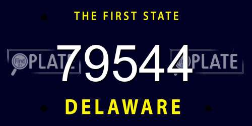79544 Delaware License Plate