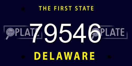 79546 Delaware License Plate