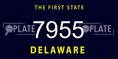 7955 Delaware License Plate