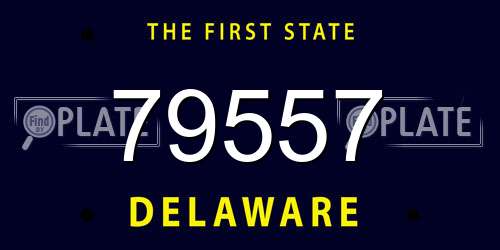 79557 Delaware License Plate
