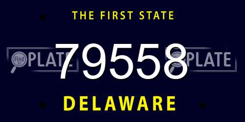 79558 Delaware License Plate