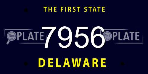 7956 Delaware License Plate