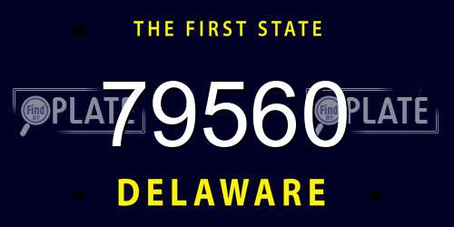 79560 Delaware License Plate