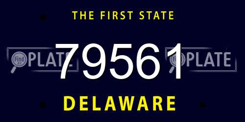 79561 Delaware License Plate