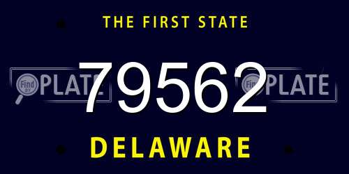 79562 Delaware License Plate