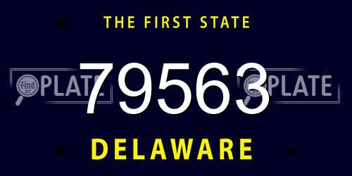 79563 Delaware License Plate